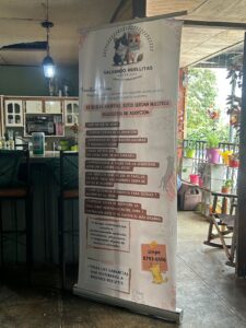 FT34