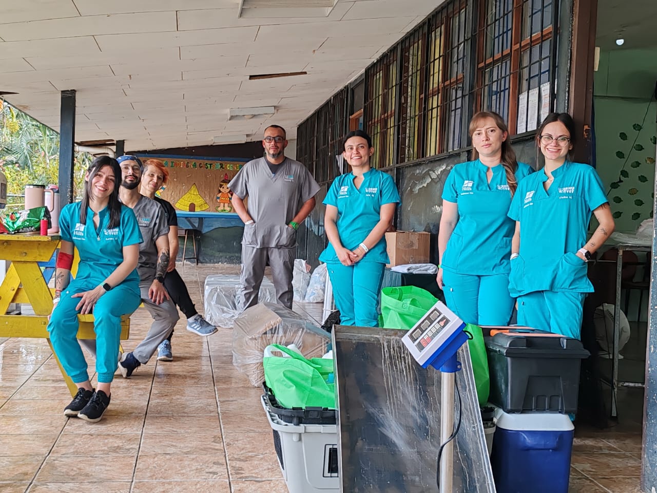 Atención veterinaria especializada a felinos